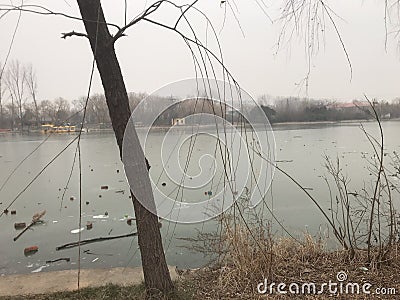 Winter was thrown a lot of garbage frozen lake Stock Photo