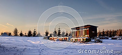 Winter meadow with bee hive Stock Photo