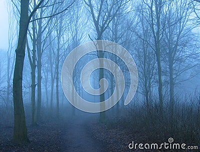 Winter mist Stock Photo