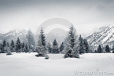 Winter mood in Val di Fassa, Dolomites, Italy Stock Photo