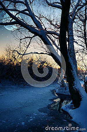 Winter moonlight Stock Photo