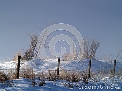 Winter Morning and Fencing Stock Photo