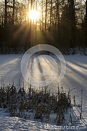 Winter morning sunrise over trees and pond turned into snow field Stock Photo