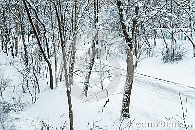 Winter in Moscow. Snow covered trees in the city. The view from Stock Photo