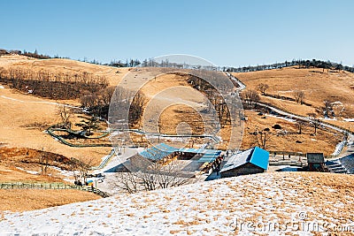 Winter mountain at Daegwallyeong sheep ranch in Pyeongchang, Korea Stock Photo