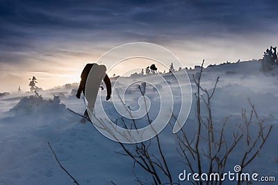 Winter Mountain Hiking - Backpacker Woman on the Babia Gora Trail in Beskidy Mountains Poland Stock Photo