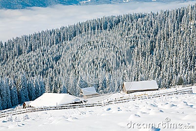 Winter mountain landscape Stock Photo