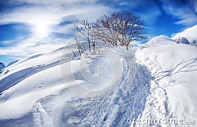 Winter mountain scenery Stock Photo