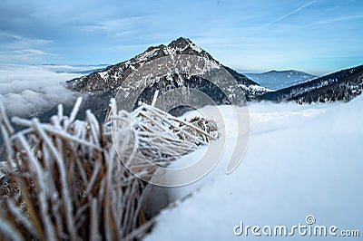 Winter mountains. Frozen grass, Rocky hill in background, Velky Rozsutec, Slovakia Stock Photo