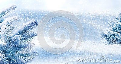 Winter natural background. Christmas trees in the forest. Snowing. Copy space Stock Photo