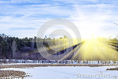 Winter natural landscape. Bare trees and twigs against blue sky on sunset. Wasteland, snow-covered river with dry reeds surrounded Stock Photo