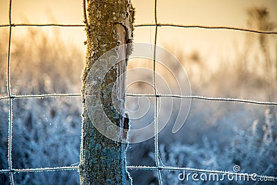 Nature closeup macro, wire fence in frost Stock Photo