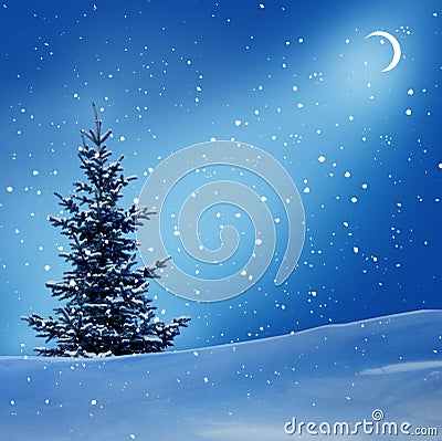 Winter night Stock Photo