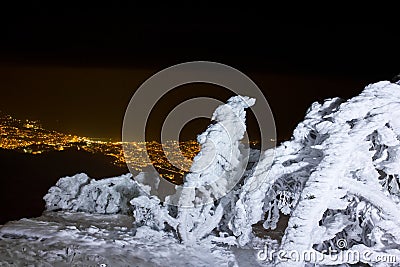 Winter night landscape Stock Photo