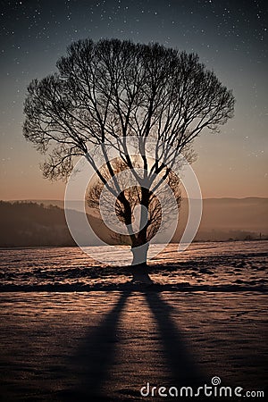 Winter night Stock Photo