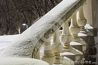 Winter night in the park and snow Stock Photo
