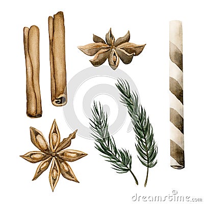 Winter objects set: cinnamon sticks, stars anise, pine branch, crispy rolled wafer stick. Watercolor illustrations Cartoon Illustration