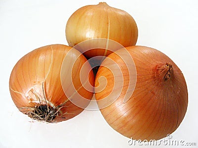 Winter onion pictures on white ground Stock Photo