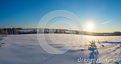 Winter pano with sunbeams, forest Stock Photo