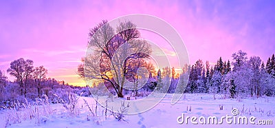 winter panorama landscape with forest, trees covered snow and sunrise. Stock Photo