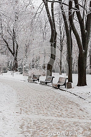 Winter park covered with snow and hoarfrost Stock Photo