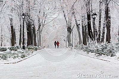 Winter park covered with snow and hoarfrost Stock Photo