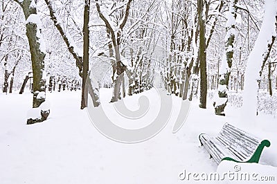 Winter park, Pavlovsk, Saint-Petersburg, Russia Stock Photo