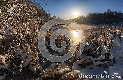 Winter park scene. Dry reed plants, frozen pond, blue ice, white snow, ray of cold sun. Stock Photo