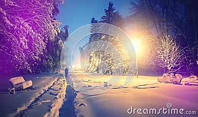 Winter park in snow. fantastic wintry landscape. frosty evening in city park. snow covered trees glowing in light lantern. Stock Photo