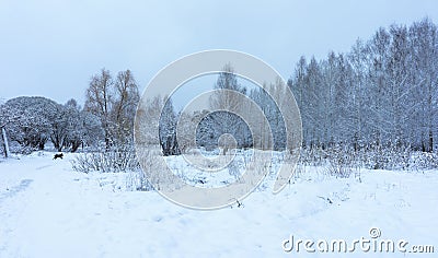 Winter Park in Snow Stock Photo