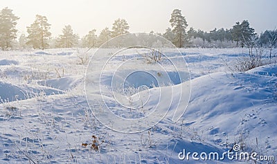 Winter plain covered by a snow Stock Photo