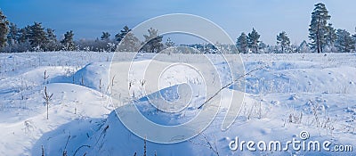 Winter plain covered by a snow Stock Photo