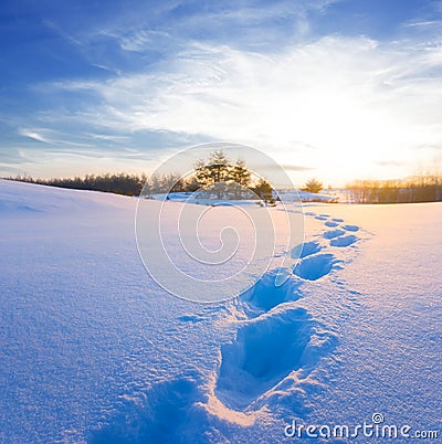 winter plain with human track at the dramatic sunset Stock Photo