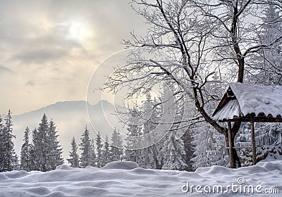 Winter in Poland Stock Photo