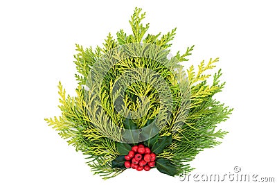 Winter Posy Decoration of Cedar Cypress Fir with Holly Stock Photo