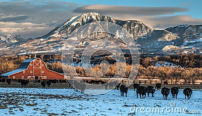 Winter Ranching Scene in Western Colorado Stock Photo