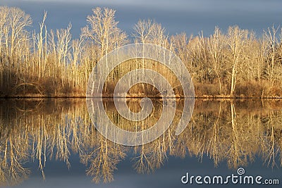 Winter Reflection Stock Photo