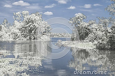 Winter Reflection on the Lake Stock Photo