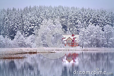 Snowy winter reflections .Lake Bijote,Lituania Stock Photo