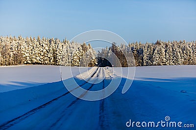 Winter road leading to snowy forest. Season landscape Stock Photo