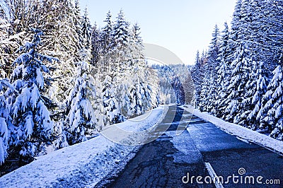 Winter road Stock Photo