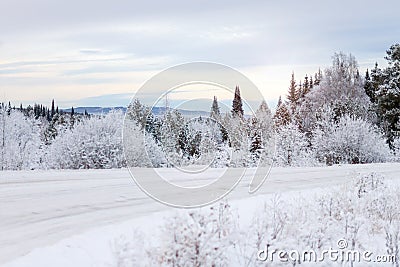 Winter road in the snow-covered forest at sunset Stock Photo