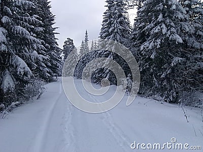 Winter road Stock Photo