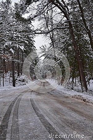 Winter Road Among Tall Pines Stock Photo