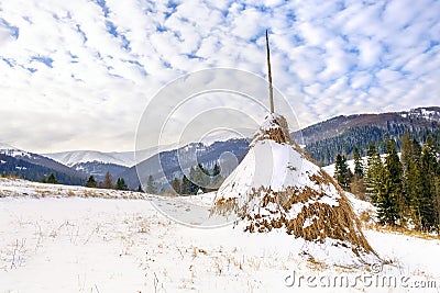 Winter rural landscape, haystacks on the background of snow-capped mountains and forestÐ±, Transcarpathia, Ukraine Stock Photo