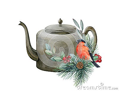 Winter rustic cozy watercolor illustration with bullfinch. Hand drawn winter season decoration with vintage kettle Cartoon Illustration