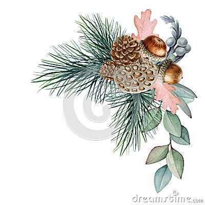 Winter rustic floral arrangement watercolor illustration. Hand drawn natural decor from pine, cone and eucalyptus branch. Cartoon Illustration