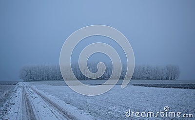 Winter scane in the nature Stock Photo