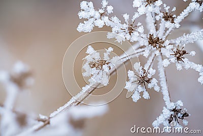 Winter scene Stock Photo