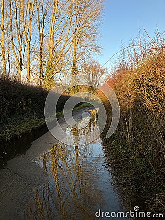 Winter scene, country lane with relections in flood water Stock Photo